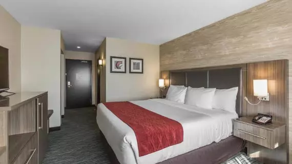 Comfort Inn & Suites | Alberta - Calgary (ve civarı) - Calgary