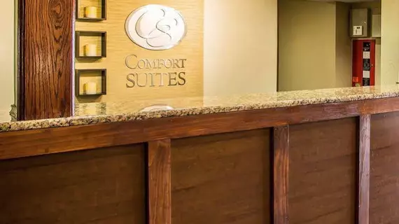 Comfort Suites Lansing | İllinois - Lansing