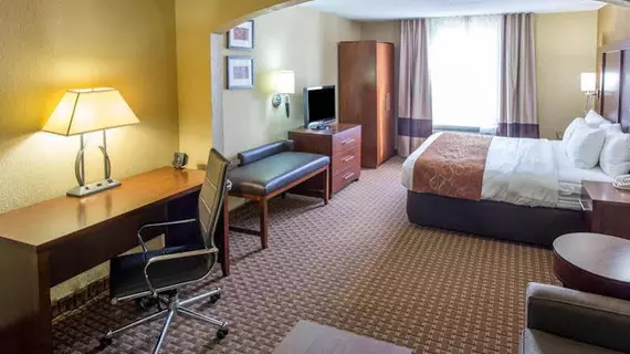 Comfort Suites Port Allen | Louisiana - Baton Rouge (ve civarı) - Port Allen