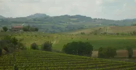 L'Orto Di Panza | Toskana - Siena (vilayet) - Montepulciano