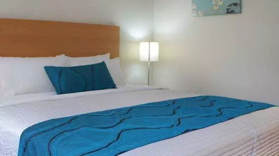 Best Western Airport 85 Motel | Queensland - Brisbane (ve civarı) - Ascot