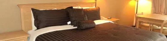 Americas Best Value Inn Near Downtown Nashville | Tennessee - Nashville-Davidson - Nashville (ve civarı) - Nashville