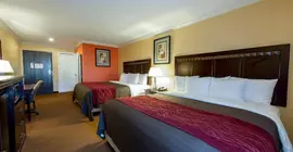 Comfort Inn and Suites | Kaliforniya - Los Angeles County - Bell Gardens