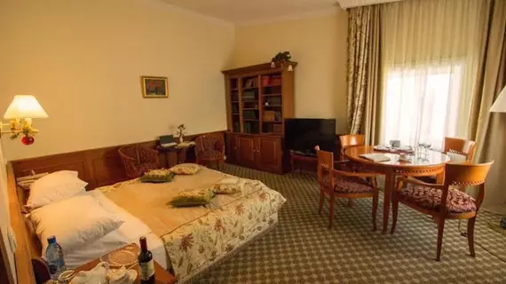 Chekhov Hotel | Sverdlovsk Federal Bölgesi - Yekaterinburg (ve civarı) - Yekaterinburg