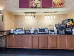 Comfort Suites Smyrna | Tennessee - Nashville-Davidson - Nashville (ve civarı) - Smyrna