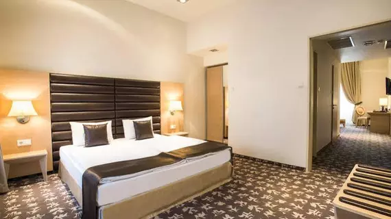 Buda Castle Fashion Hotel Budapest | Pest County - Budapeşte (ve civarı) - Budapeşte Kent Merkezi - Budavár