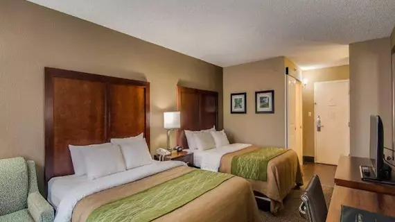 Comfort Inn Staunton | Virginia - Staunton (ve civarı) - Staunton