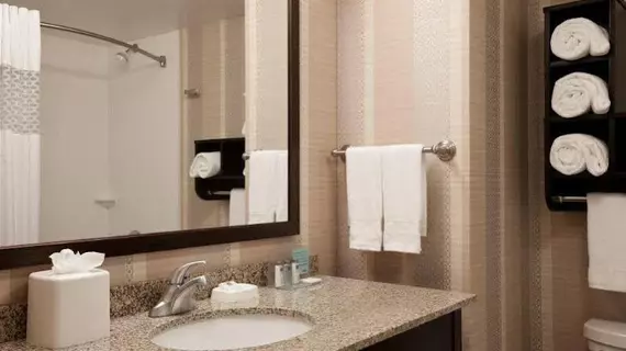 Hampton Inn & Suites Madison Downtown | Wisconsin - Madison (ve civarı) - Madison