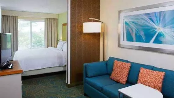 SpringHill Suites Atlanta Six Flags | Georgia - Atlanta (ve civarı) - Lithia Springs