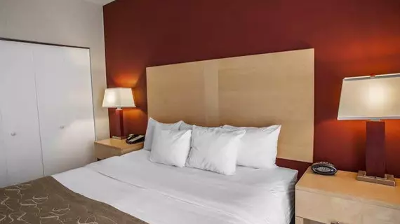 Comfort Suites Michigan Avenue | İllinois - Chicago (ve civarı) - Chicago - The Loop