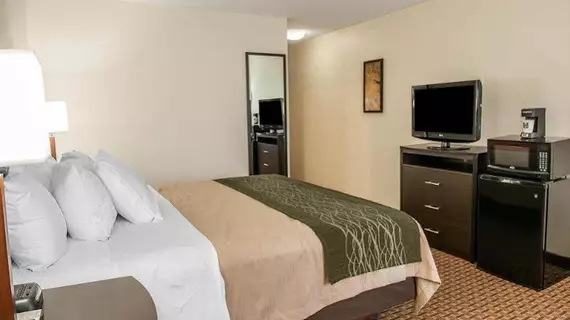 Comfort Inn & Suites Warsaw | Indiana - Varşova (ve civarı) - Warsaw