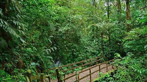 Chachagua Rainforest Hotel & Hacienda | Alajuela (ili) - San Carlos (kantonu) - El Castillo - Chachagua