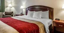 Comfort Inn And Suites | Iowa - Burlington (ve civarı) - Fort Madison