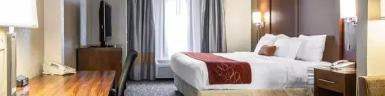 Comfort Suites Vincennes | Indiana - Vincennes (ve civarı) - Vincennes