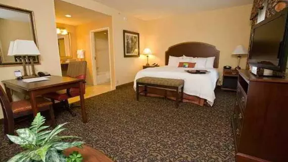 Hampton Inn & Suites Mobile - Downtown Historic District | Alabama - Mobile (ve civarı) - Mobile