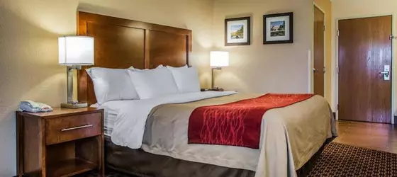 Comfort Inn Joliet | İllinois - Joliet