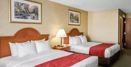 Comfort Inn & Suites | Kentucky - Owensboro (ve civarı) - Rockport