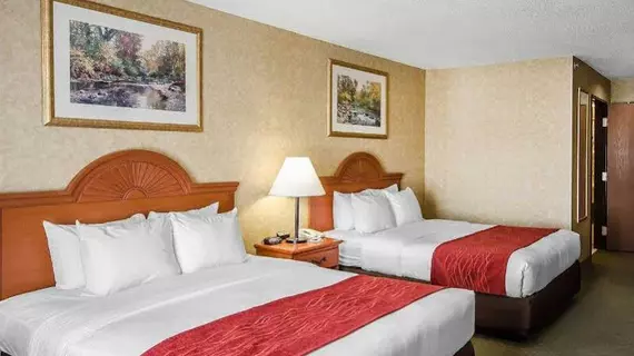 Comfort Inn & Suites | Kentucky - Owensboro (ve civarı) - Rockport