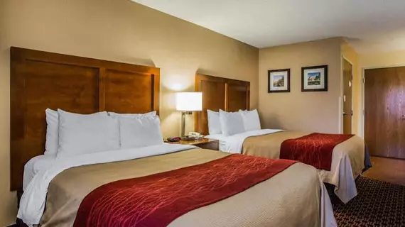 Comfort Inn Joliet | İllinois - Joliet