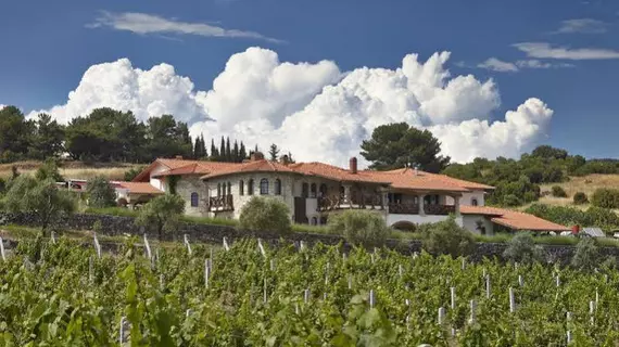 Yedi Bilgeler Vineyards | İzmir - Selçuk