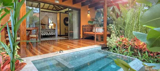 Nayara Hotel Spa and Gardens | Alajuela (ili) - San Carlos (kantonu) - La Fortuna - Palma