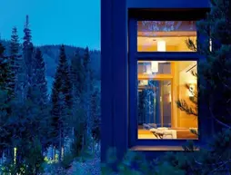 The Ritz-Carlton, Lake Tahoe | Kaliforniya - Lake Tahoe (ve civarı) - Truckee