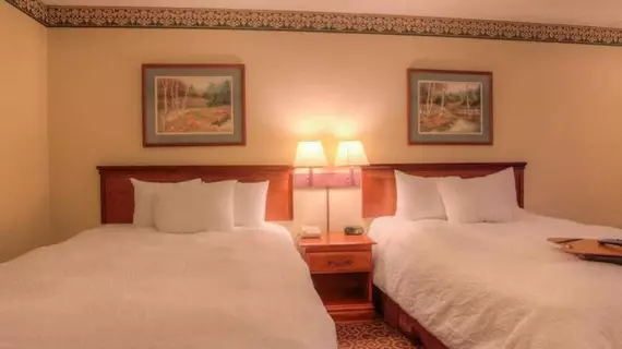 Hampton Inn Chattanooga I24 West Lookout Mountain | Tennessee - Chattanooga (ve civarı) - Chattanooga - Tiftonia