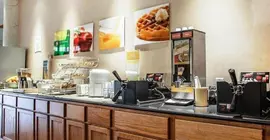 Quality Suites Milwaukee Airport | Wisconsin - Milwaukee (ve civarı) - Milwaukee