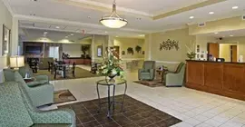 Comfort Inn & Suites Orangeburg | Güney Karolayna - Orangeburg (ve civarı) - Orangeburg