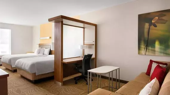 Springhill Suites Los Angeles Burbank/downtown | Kaliforniya - Los Angeles County - Burbank