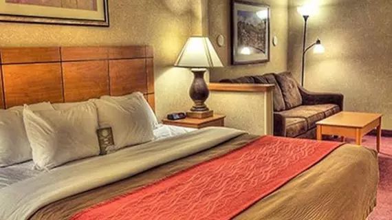 Comfort Inn Great Falls | Montana - Great Falls (ve civarı) - Great Falls