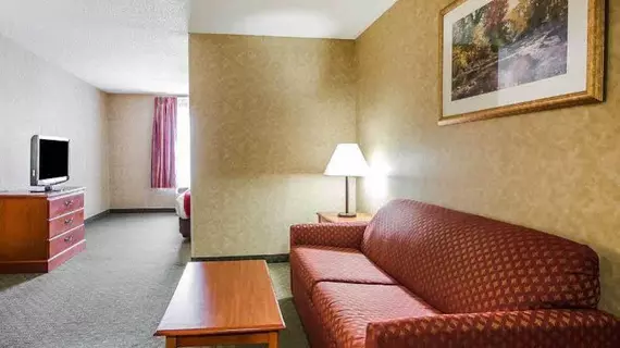 Comfort Inn & Suites | Kentucky - Owensboro (ve civarı) - Rockport