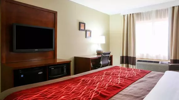 Comfort Inn & Suites Leeds | Alabama - Birmingham (ve civarı) - Leeds