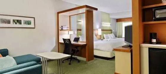 SpringHill Suites by Marriott Pensacola | Florida - Pensacola (ve civarı) - Pensacola