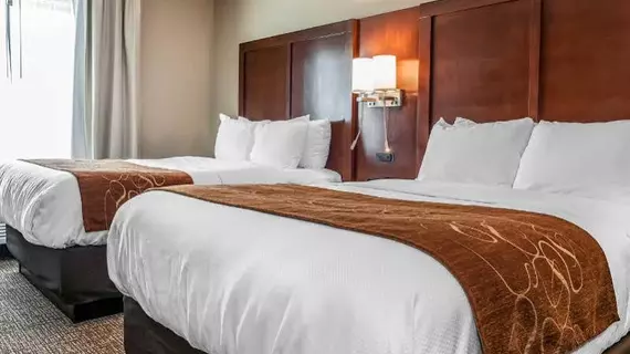 COMFORT SUITES RENSSELAER | Indiana - Rensselaer