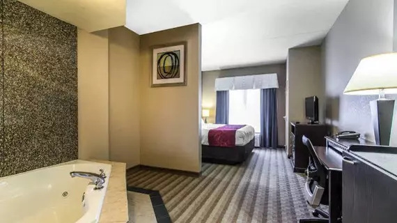 Comfort Suites Smyrna | Tennessee - Nashville-Davidson - Nashville (ve civarı) - Smyrna