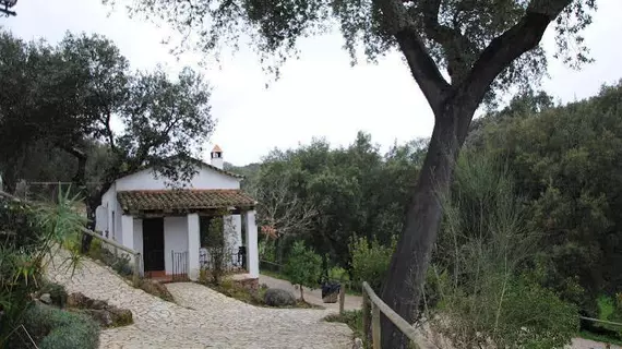 Hotel Apartamento Rural Finca Valbono | Andalucia - Huelva (vilayet) - Sierra de Aracena - Aracena