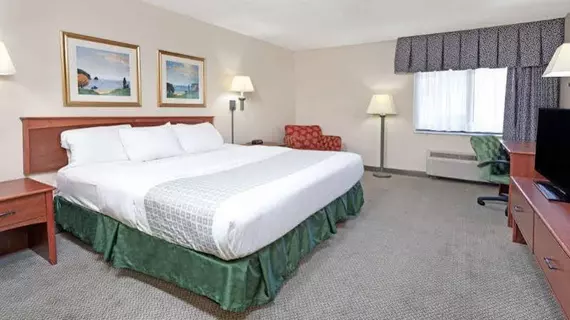 Baymont Inn & Suites Detroit Airport Romulus | Michigan - Detroit (ve civarı) - Romulus