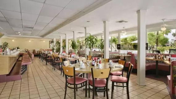 Days Inn Palm Springs | Kaliforniya - Imperial County - Palm Springs (ve civarı) - Palm Springs