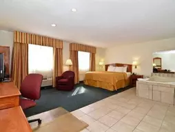 Comfort Inn, a Nashville hotel near Tennessee State University | Tennessee - Nashville-Davidson - Nashville (ve civarı) - Nashville