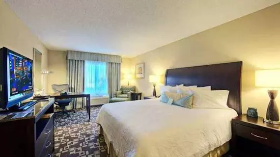 Hilton Garden Inn Merrillville | Indiana - Merrillville