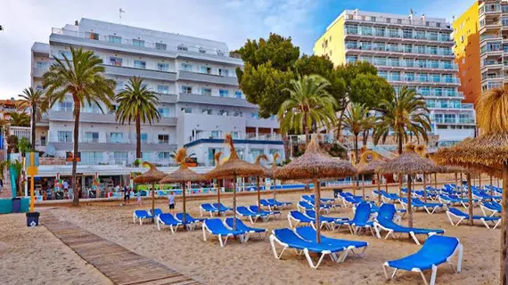 Flamboyan Caribe | Balearic Adaları - Mayorka Adası - Calvia - Magaluf