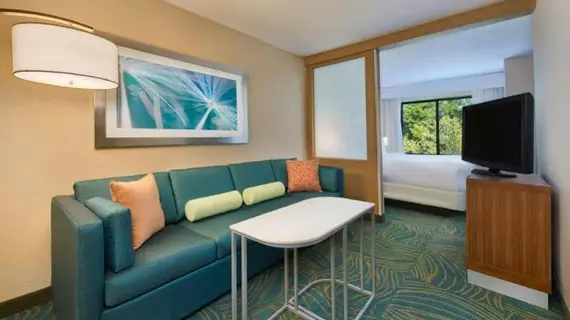 SpringHill Suites South Bend Mishawaka | Indiana - South Bend (ve civarı) - Mishawaka