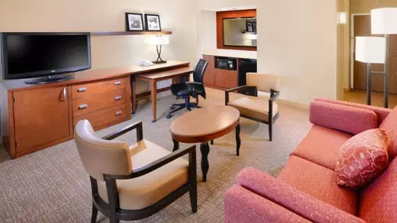 Courtyard by Marriott San Antonio Airport | Teksas - San Antonio (ve civarı) - San Antonio - Kuzey San Antonio - SAT Havalimanı