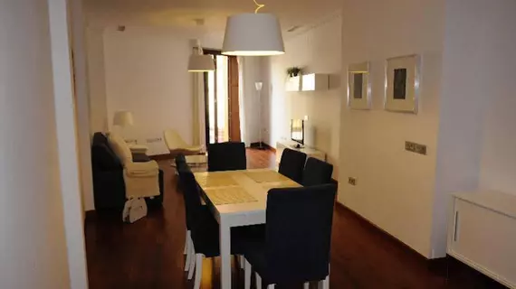 APARTAMENTOS TORRE DE LA PLATA | Andalucia - Seville İli - Sevilla - Casco Antiguo