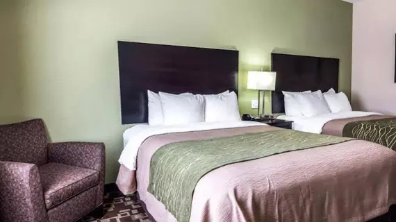 Comfort Inn & Suites Mansfield | Louisiana - Mansfield