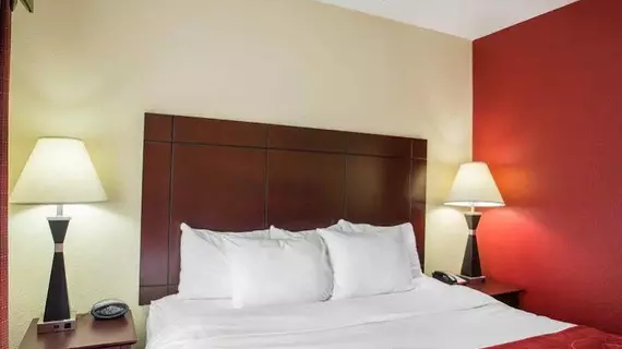 Comfort Suites Mount Juliet | Tennessee - Nashville-Davidson - Nashville (ve civarı) - Mount Juliet