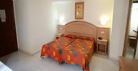 Apartamentos Park Plaza | Kanarya Adaları - Santa Cruz de Tenerife - Puerto de la Cruz