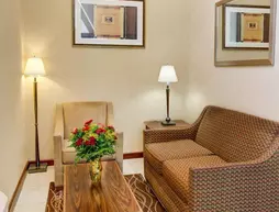 Quality Inn Near Ft Meade | Maryland - Baltimore (ve civarı) - Jessup - Savage-Guilford