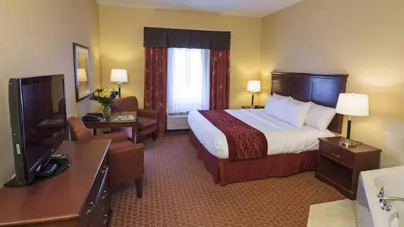 Comfort Inn Airport St. John's | Newfoundland and Labrador - Newfoundland - St. John's (ve civarı) - St. John's